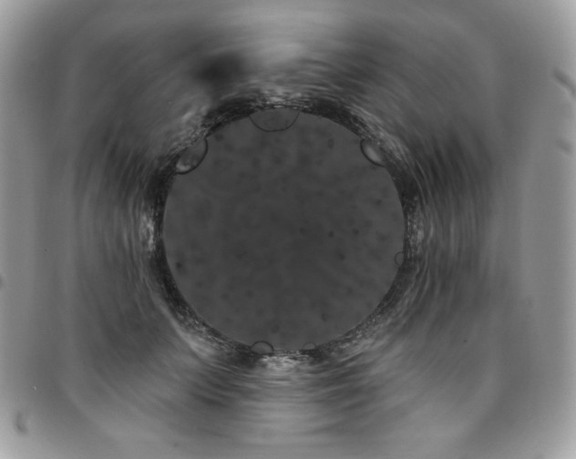 X0000095130703200712071308