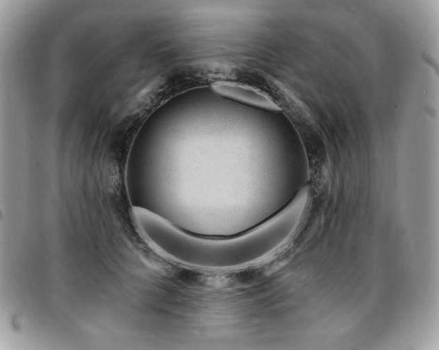 X0000095130704200712071308