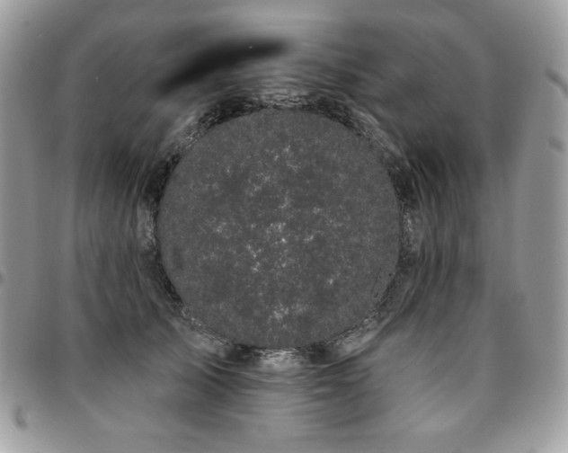 X0000095130705200712071308