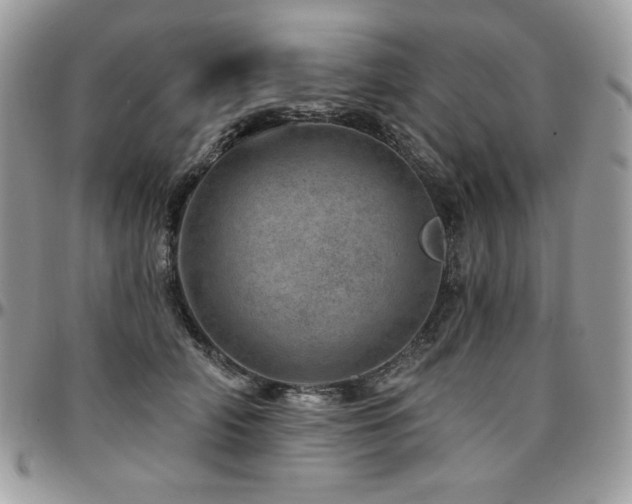 X0000095130706200712071308