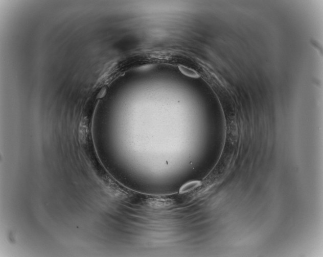 X0000095130707200712071308