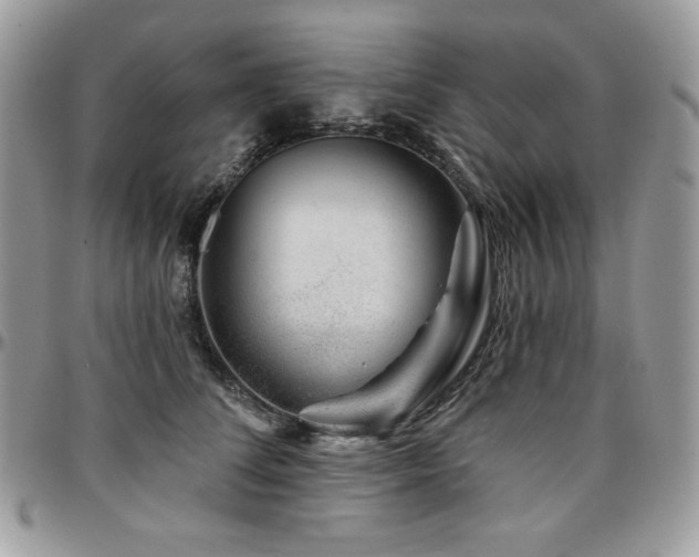 X0000095130708200712071308