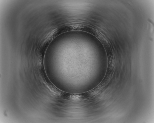 X0000095130710200712071308