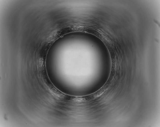 X0000095130711200712071308