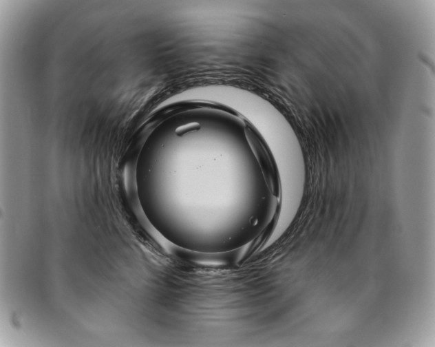 X0000095130712200712071308