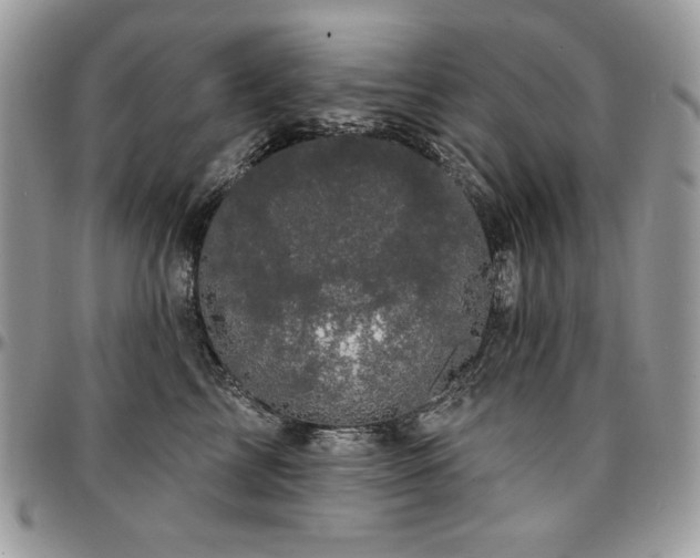 X0000095130713200712071308