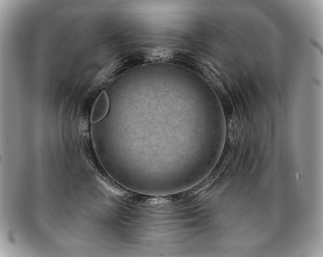 X0000095130714200712071308