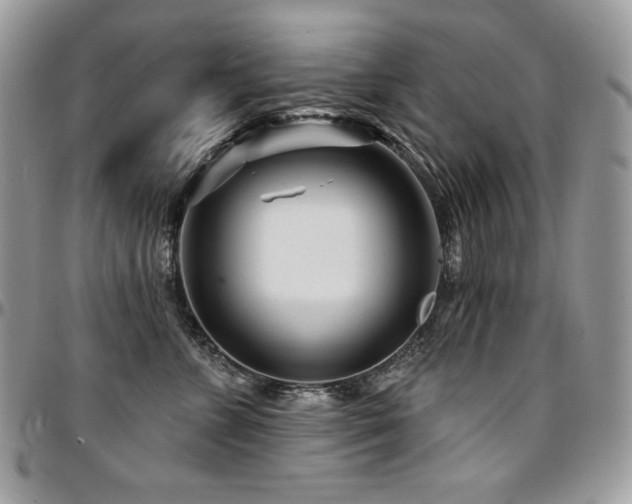 X0000095130715200712071308