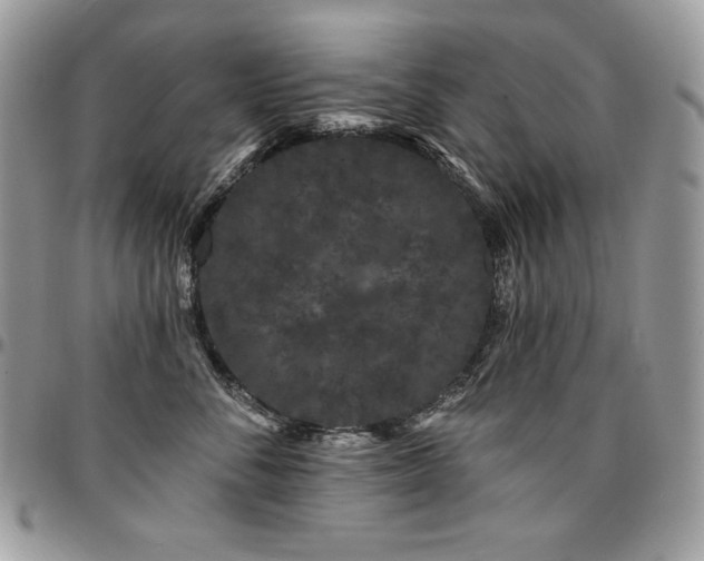 X0000095130716200712071308