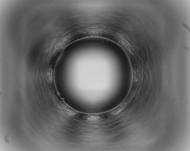 X0000095130718200712071308