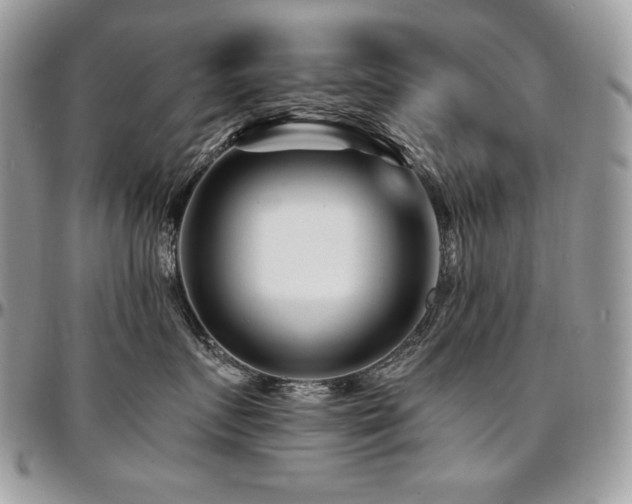 X0000095130719200712071308