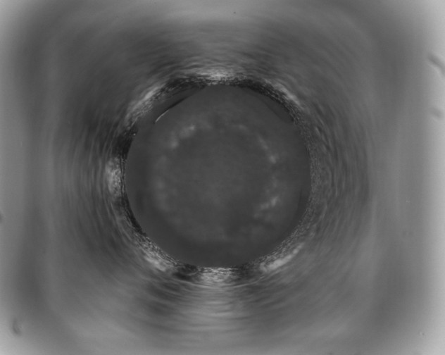 X0000095130720200712071308