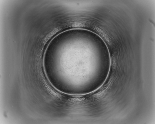 X0000095130721200712071307