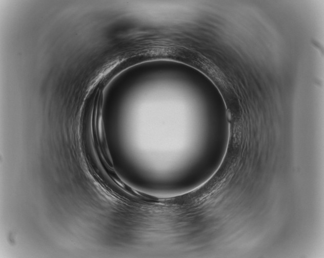 X0000095130722200712071307