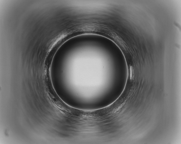 X0000095130723200712071307