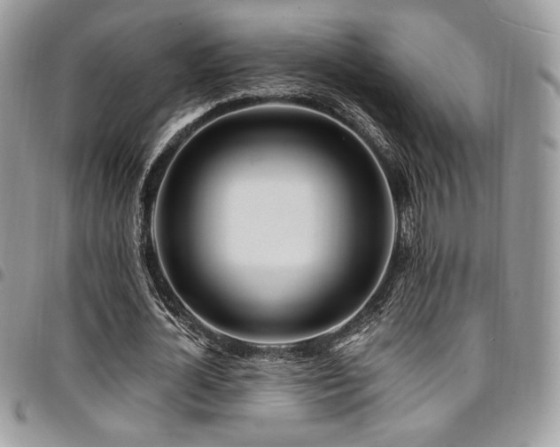 X0000095130724200712071307