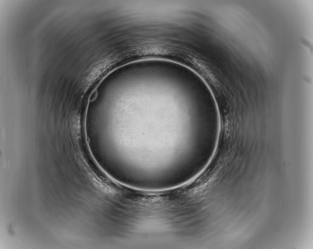 X0000095130725200712071307