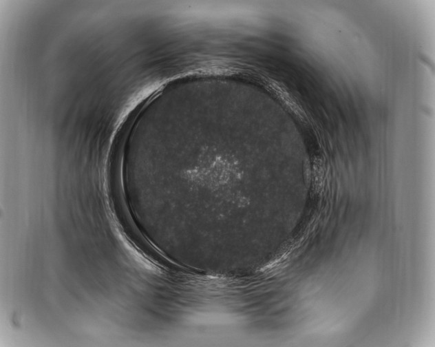 X0000095130726200712071307