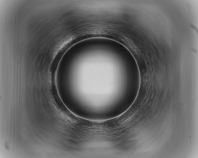 X0000095130727200712071307