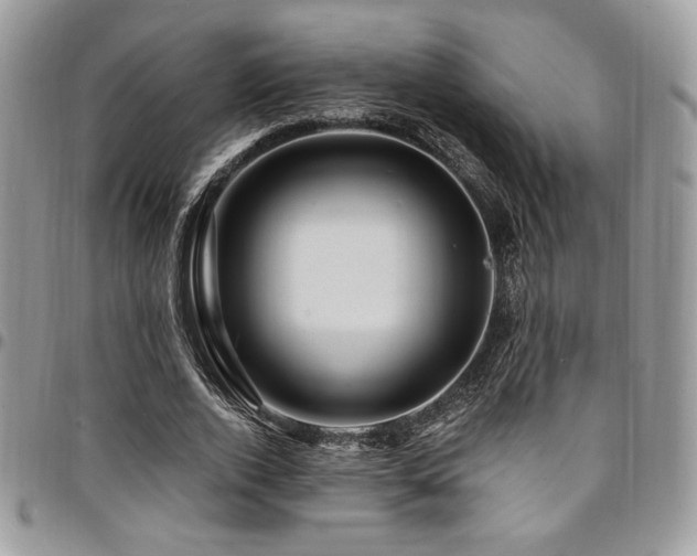 X0000095130728200712071307