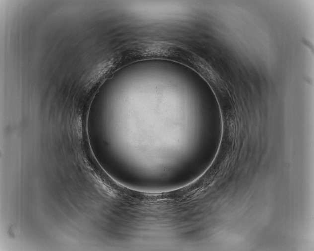 X0000095130729200712071307