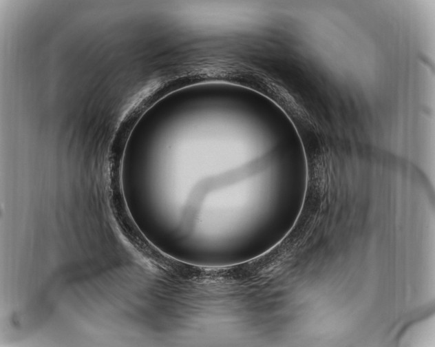 X0000095130730200712071307