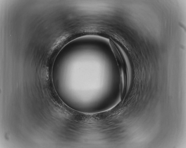 X0000095130731200712071307