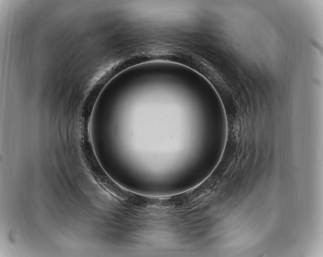 X0000095130732200712071307