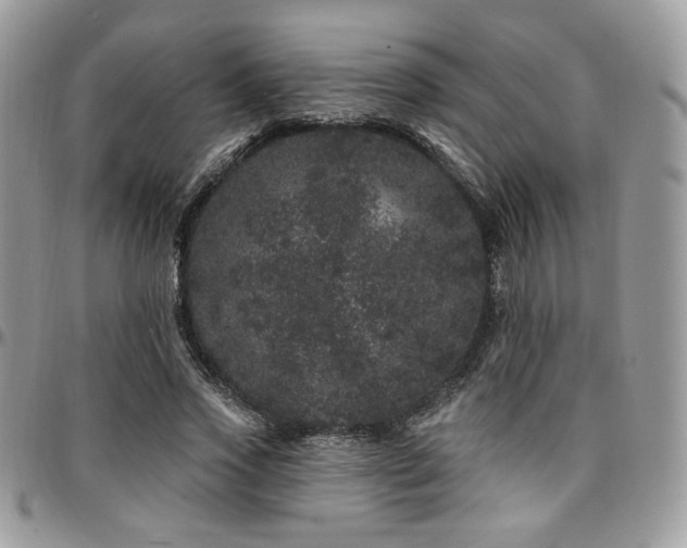 X0000095130733200712071307