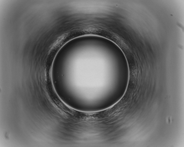 X0000095130734200712071307