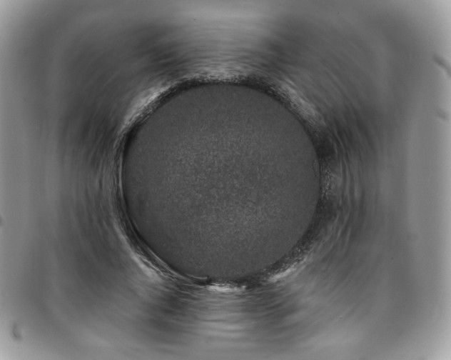 X0000095130736200712071307