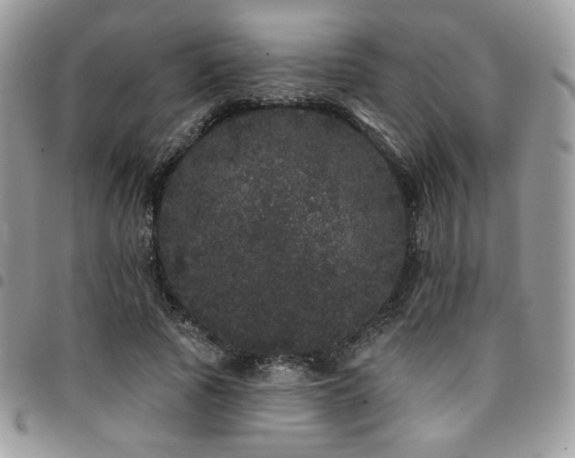 X0000095130737200712071307