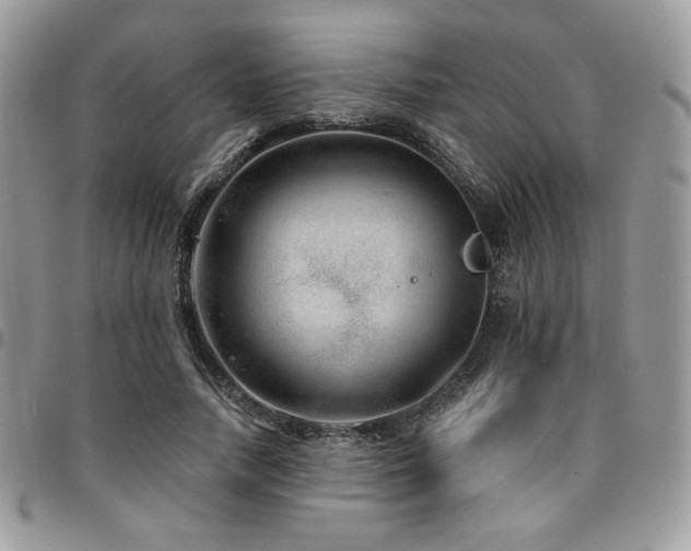 X0000095130738200712071307