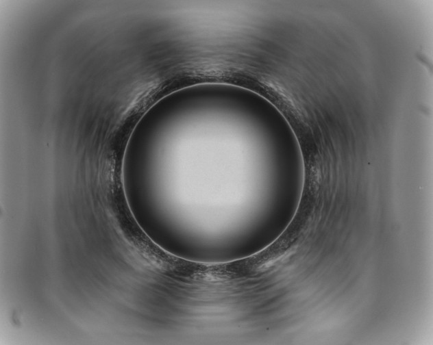 X0000095130739200712071307