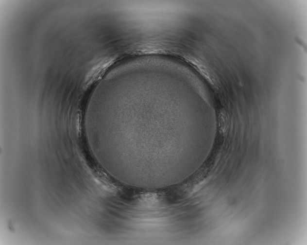 X0000095130740200712071307