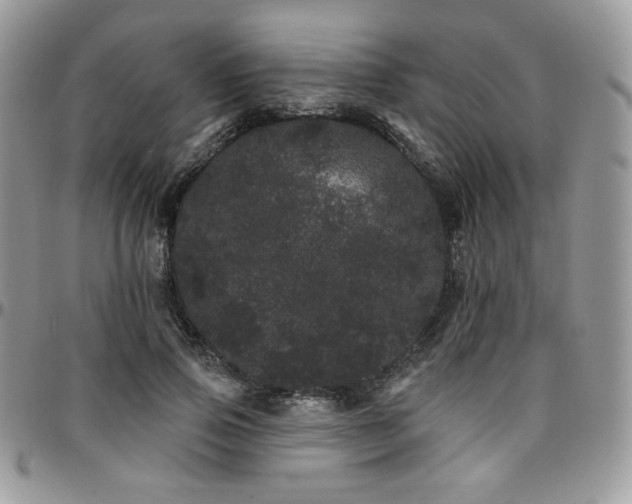 X0000095130741200712071307