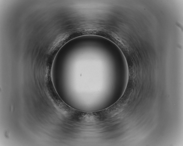 X0000095130742200712071307