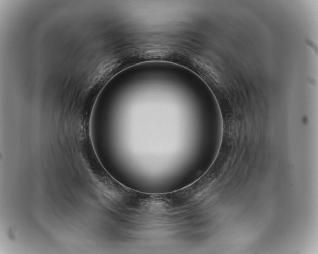 X0000095130743200712071307