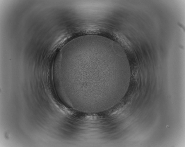 X0000095130744200712071307