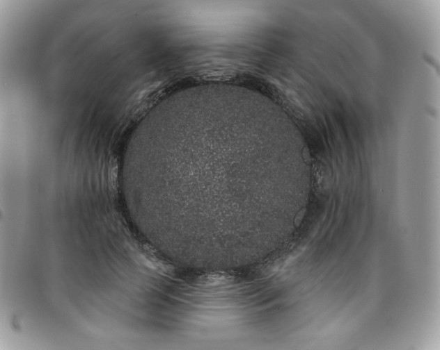 X0000095130745200712071307