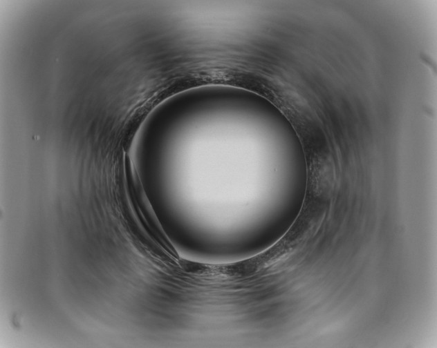 X0000095130747200712071307