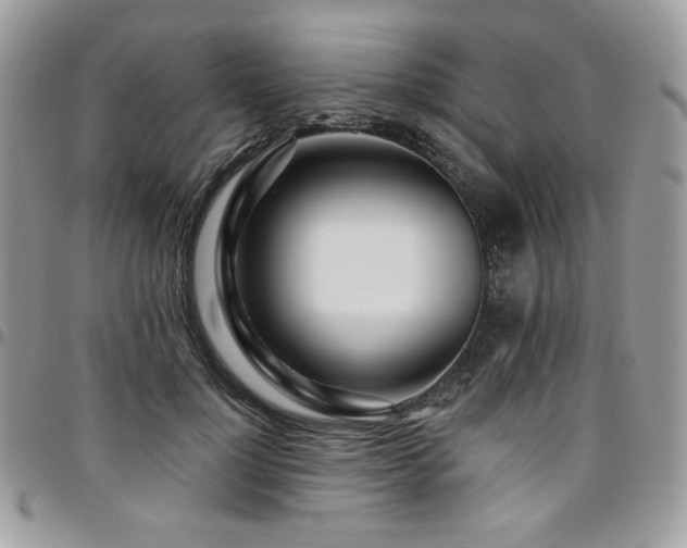 X0000095130748200712071307