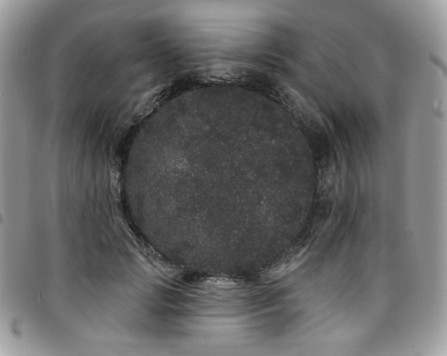 X0000095130749200712071307