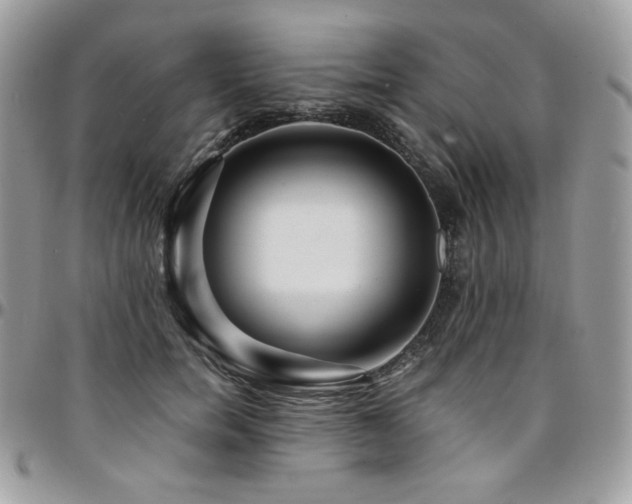 X0000095130750200712071307