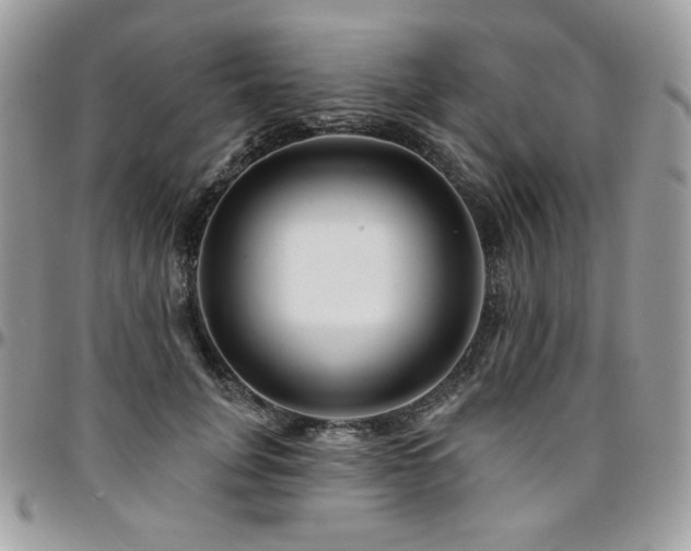 X0000095130751200712071307