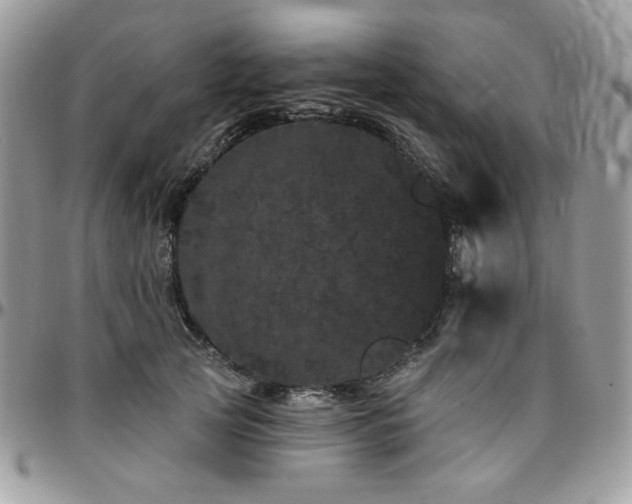 X0000095130753200712071307