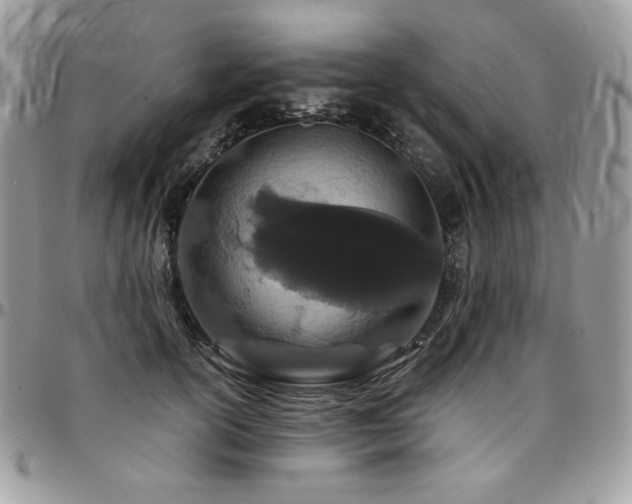 X0000095130754200712071308