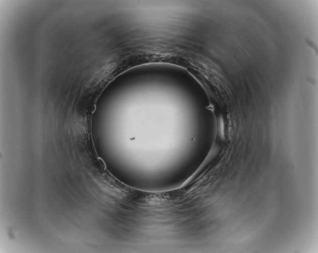 X0000095130756200712071308