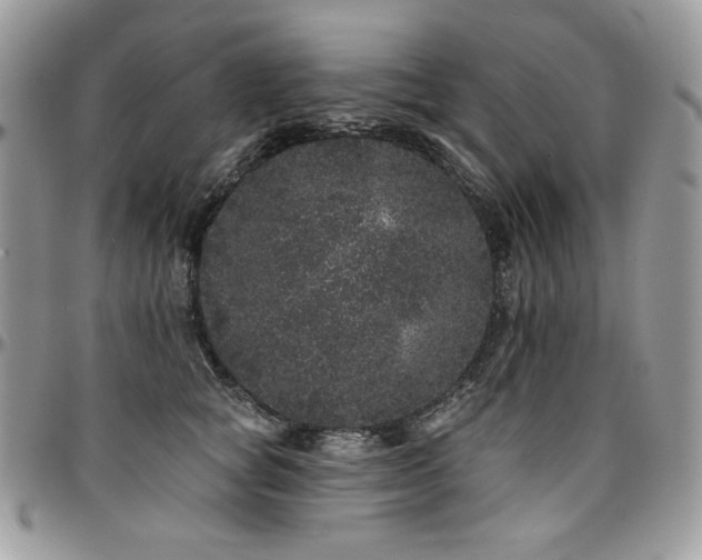 X0000095130757200712071308