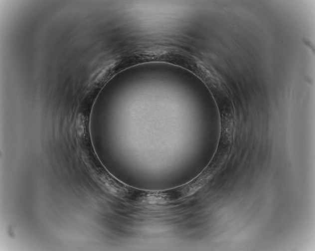 X0000095130758200712071308